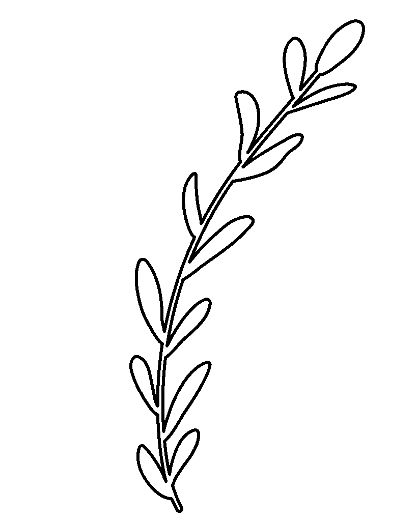 Grashalm