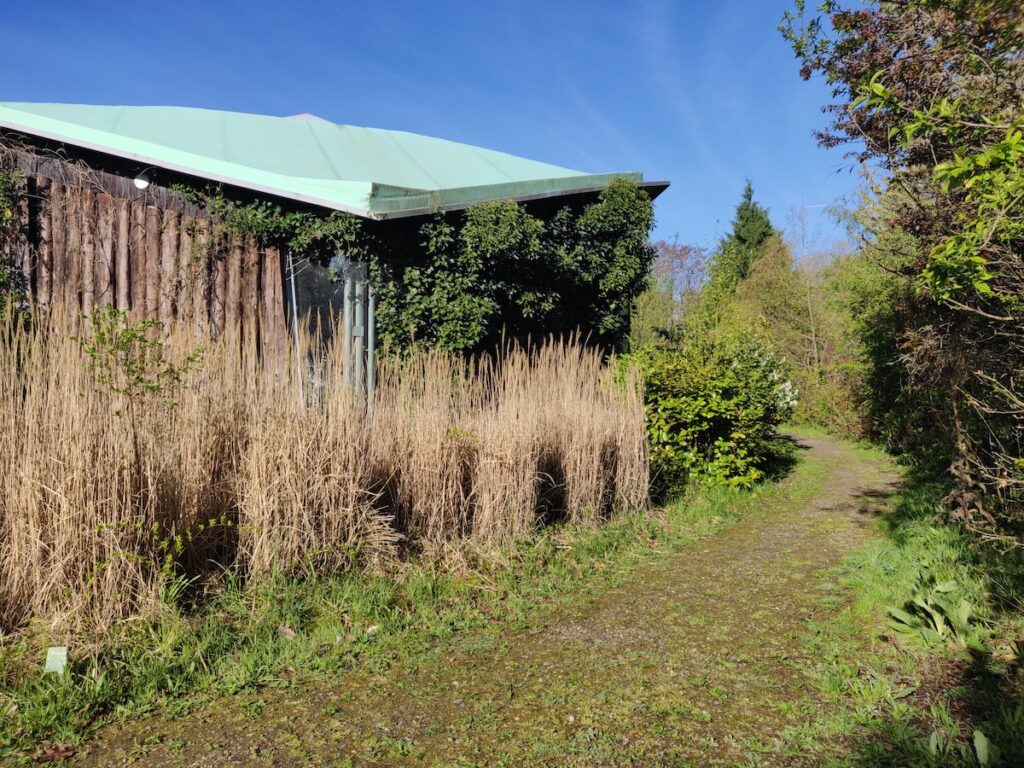 Kopie von IMG 20240417 085659 1